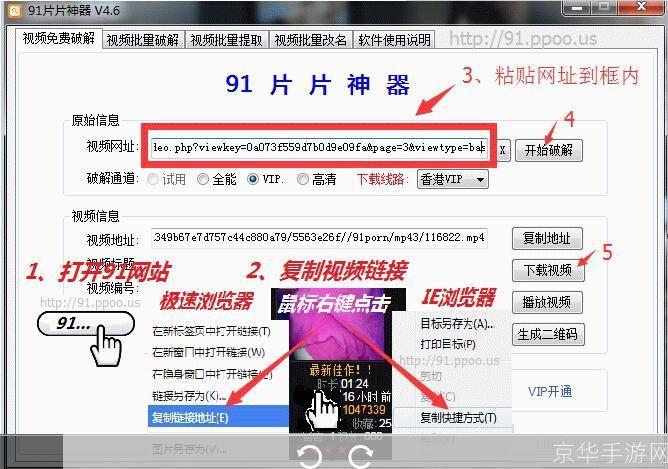 详细指南:如何安装种子下载器