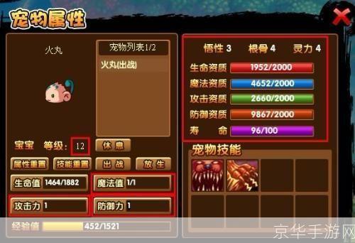 造梦西游3宠物几级学技能:造梦西游3:宠物技能学习等级全解析