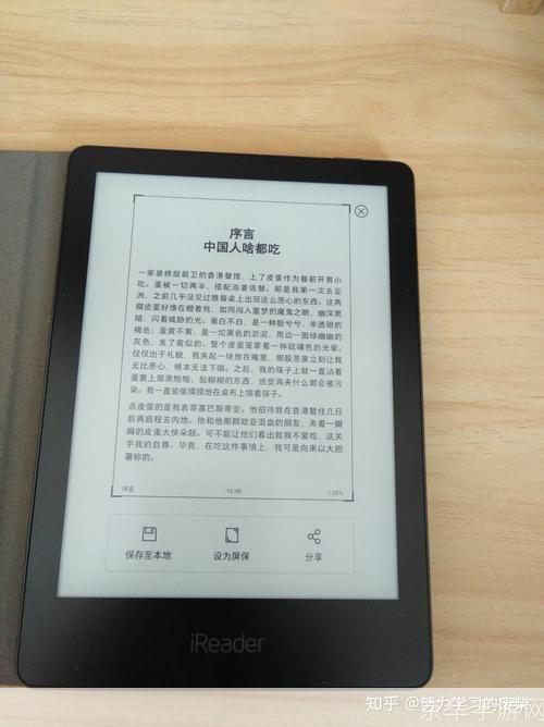 盛大电纸书:盛大电纸书引领阅读革命,游戏与文学的完美融合