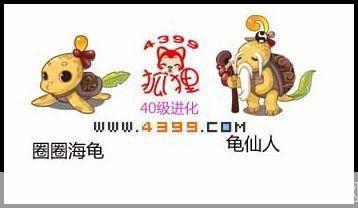 洛克王国龟仙人:洛克王国龟仙人:征服海洋的传奇之旅