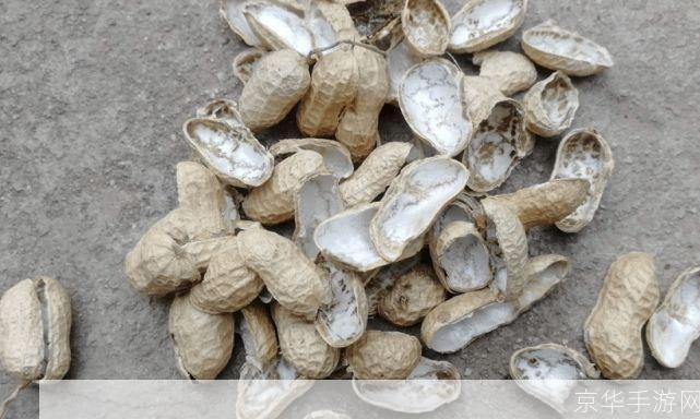 花生壳的使用方法详解