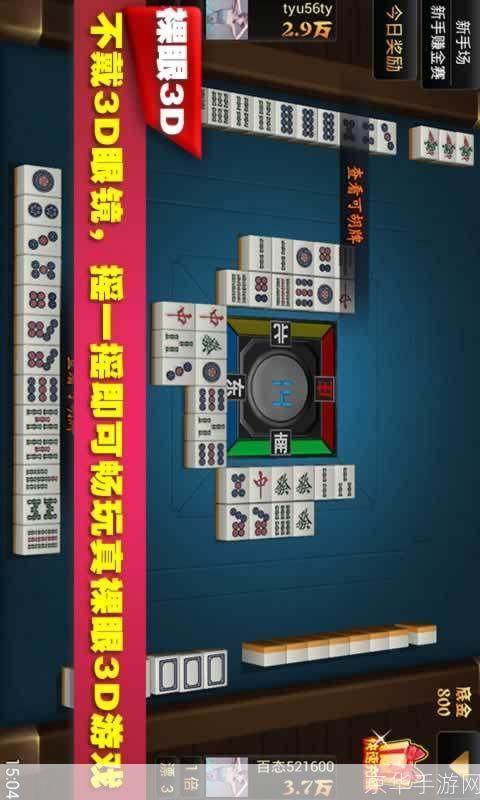 卡五星麻将安装教程