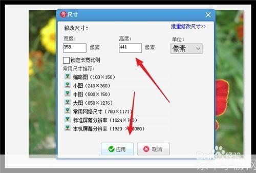 相片软件怎么用: 相片软件的使用方法详解