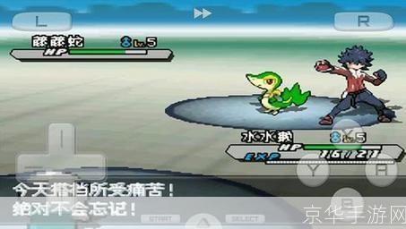 口袋妖怪黑白2模拟器:重温经典,掌中妖怪大战再燃!