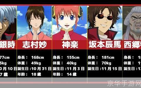银魂中文版怎么用: 银魂中文版的使用方法详解