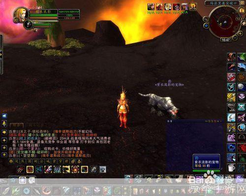 wow刀疤怎么抓:魔兽世界:刀疤捕捉全攻略