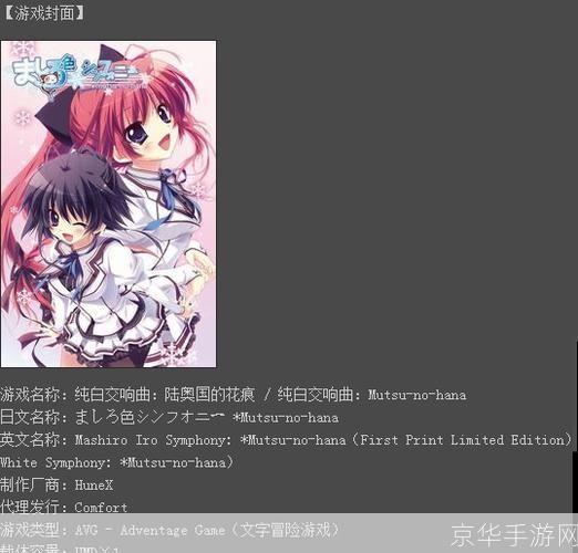 纯白交响曲游戏怎么安装: 详细步骤教你如何安装纯白交响曲游戏