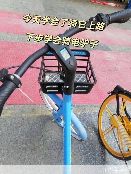 电驴子怎么安装: 详细步骤指南:如何安装电驴子