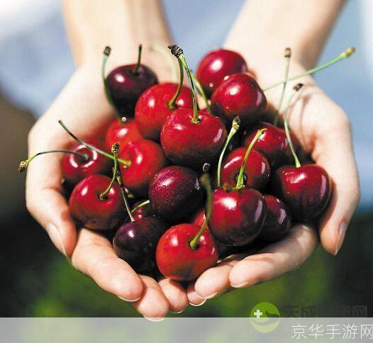 樱桃怎么用: 樱桃的多元用途：从美食到健康护理