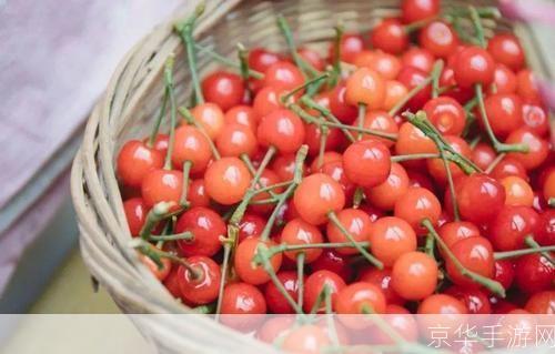 樱桃怎么用: 樱桃的多元用途：从美食到健康护理