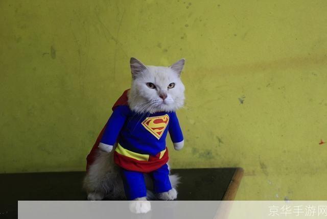 小懒猫特效视频让你的猫咪瞬间变身超级英雄!