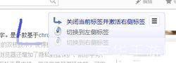 枫树极速浏览器:提升网络浏览体验的优质工具