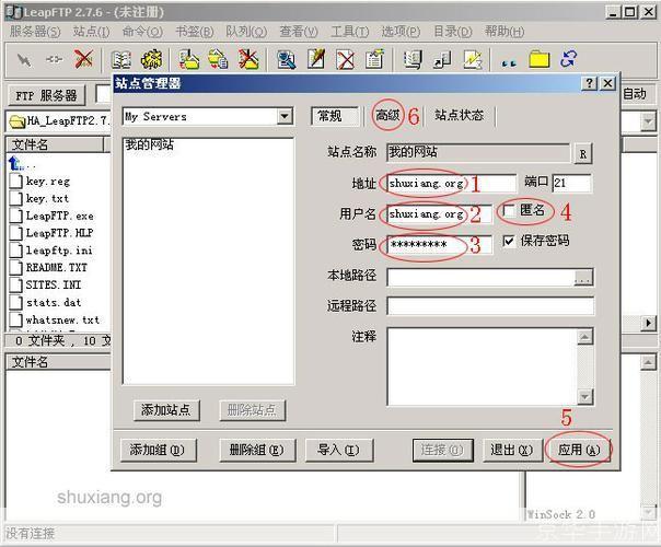 如何安装和使用LeapFTP