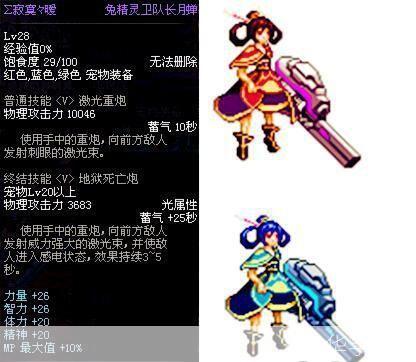 DNF宠物大揭秘:战斗伙伴与实力增强的神秘力量