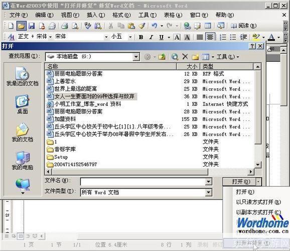 Word 2003免费完整版:强大的文档处理工具