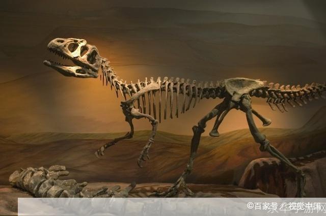 侏罗纪化石 克格莫:探索史前奥秘,重现恐龙时代