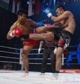 武林风 王洪祥:武林风之王洪祥:游戏中的武术传奇