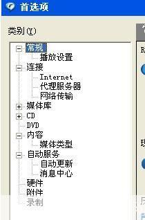 RealPlayer安装指南