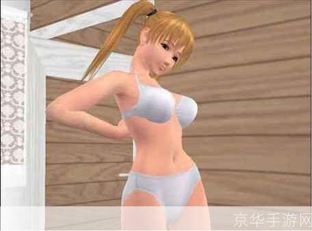 波动少女3中文版的使用方法详解