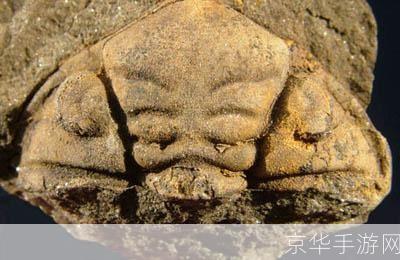 魔兽世界中的考古虫子:探索与发现的奇妙之旅**