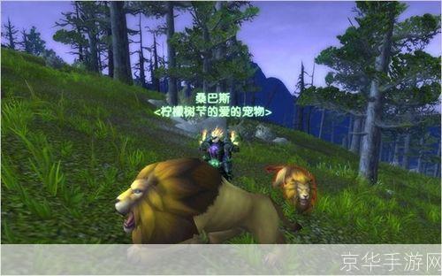 魔兽世界:猎人稀有宝宝全解析**