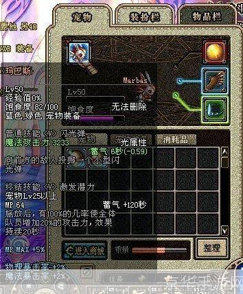 dnf宠物玛巴斯:DNF宠物玛巴斯:战斗伙伴的崛起与深度解析