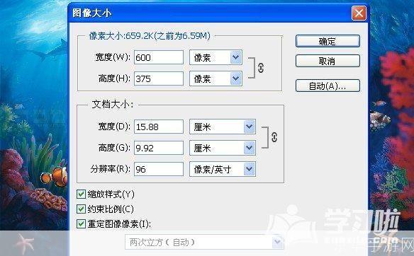 掌握PS照片处理软件的基本使用方法