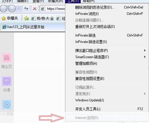 怎么用internet explorer: 掌握Internet Explorer的基本使用技巧