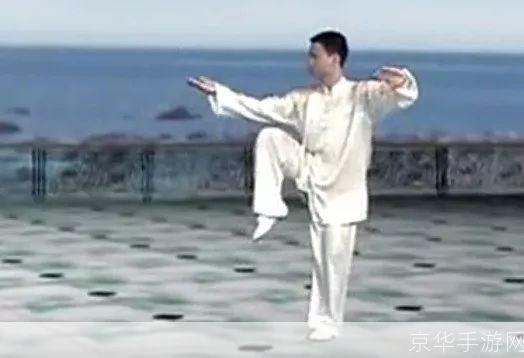 如何安装太极拳教学视频