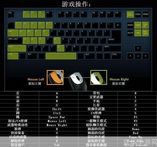 如何使用CF官网进行游戏操作