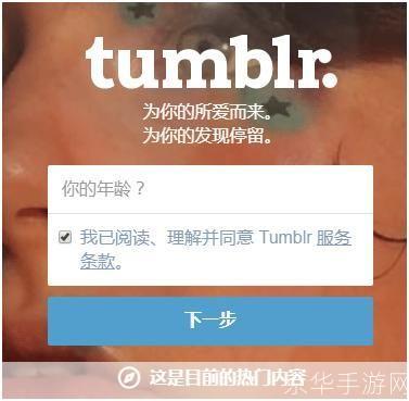 掌握Tumblr使用技巧:从注册到发布
