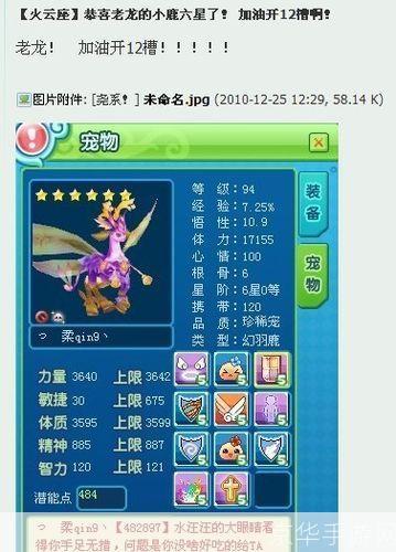 新飞飞弓手加点:新飞飞弓手加点攻略:打造强力远程输出角色