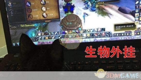 <魔兽世界挂机秘籍:轻松游戏,永不掉线>