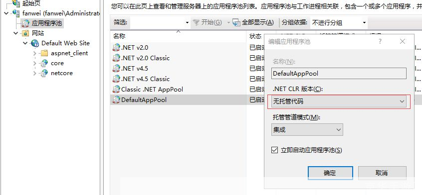 如何使用 IIS(Internet Information Services)进行网站托管