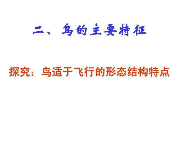 飞鸟的运用与技巧