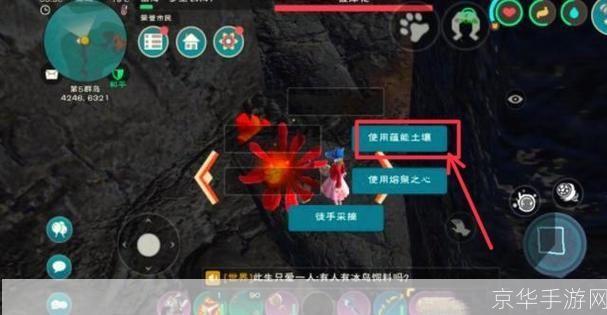 创造与魔法彼岸花怎么摘:创造与魔法:彼岸花的神秘采摘之旅