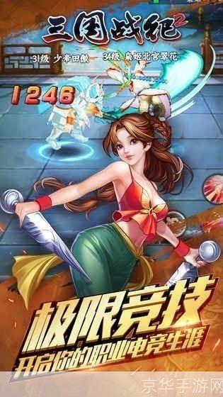 揭秘三国战记2007秘籍,领略经典游戏的无穷魅力