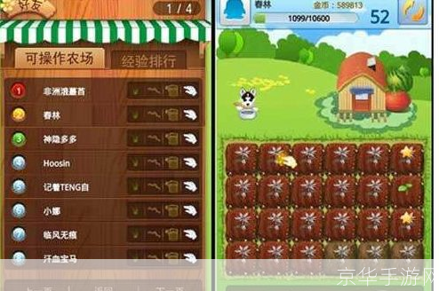 QQ农场金币:虚拟农场游戏中的财富与策略