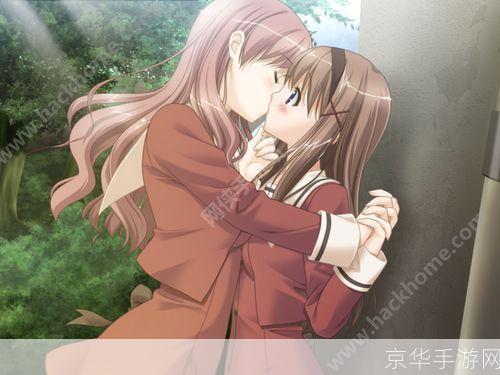 详细步骤教你如何安装花吻在上游戏
