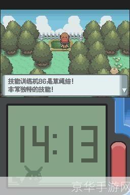 口袋妖怪钻石版攻略:钻石之旅:口袋妖怪钻石版全攻略