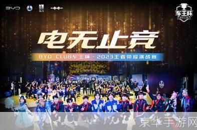 王者荣耀电竞选手:竞技之路的荣耀与挑战