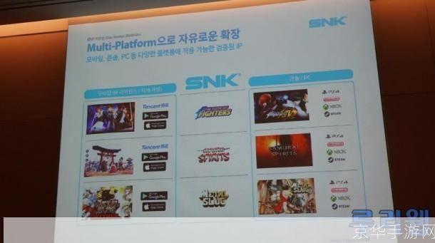 PS4发布会揭秘:游戏界的未来展望与现实碰撞