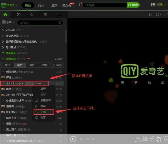 爱奇艺播放器官方怎么用: 爱奇艺播放器官方使用指南