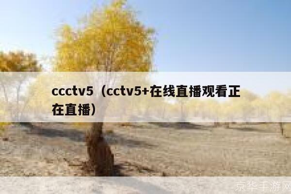 CCTV直播软件——让您随时随地观看央视节目