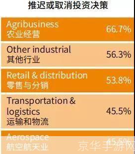 软件进口关税的影响与应对策略