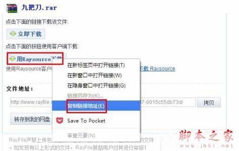 RaySource下载器使用教程