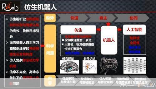 纳米机器人的安装与操作指南