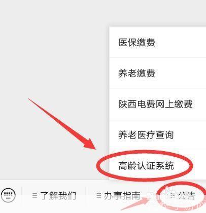网上认证系统怎么用: 网上认证系统的使用指南
