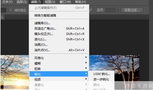 免费去除马赛克软件推荐:让您的图片更加清晰