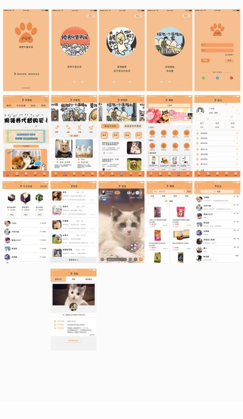 猫咪软件app的安装步骤详解